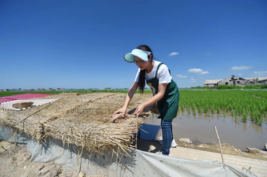 博业体育app博业体育平台裱花学徒、农艺师、高端家政……大学生在“轻体力工作”中找到新活法(图1)