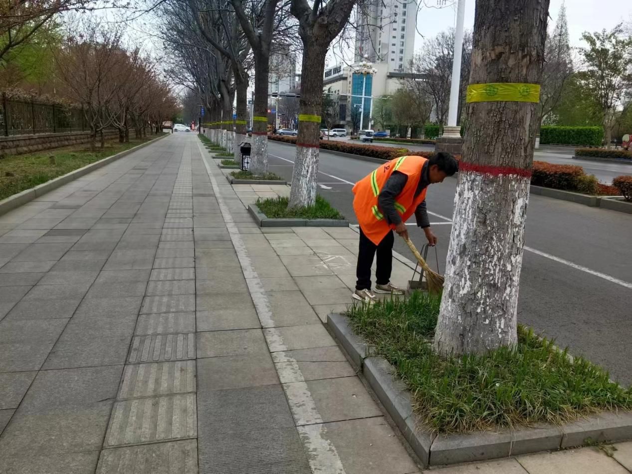 博业体育平台家政洁净城市 不负春光 曲阜全力做好清明假期环境卫生保障工作(图6)